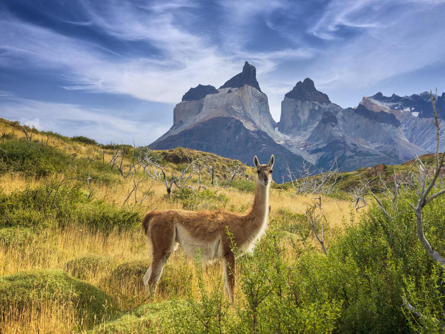 Travel To Patagonia